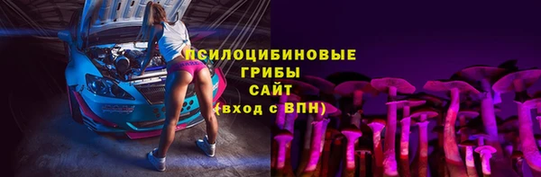 стаф Баксан