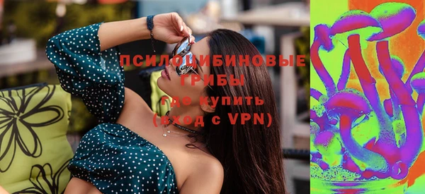 стаф Баксан