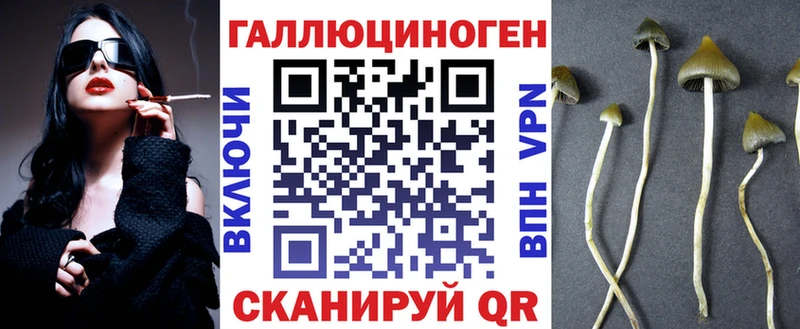 гидра как войти  Велиж  Псилоцибиновые грибы Psilocybe 